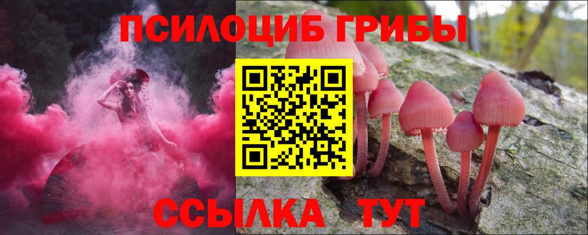 наркошоп  Псилоцибиновые грибы мицелий  Вход с VPN  Алейск 